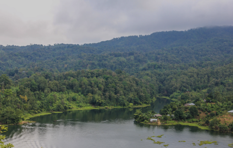 পাহাড়, পদ্মফুল আর প্রলোভন