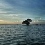 আমার হৃদয়ের বিসৃত স্মৃতিতে সিলেট ✍️  ইমরান আহমেদ চৌধুরী 