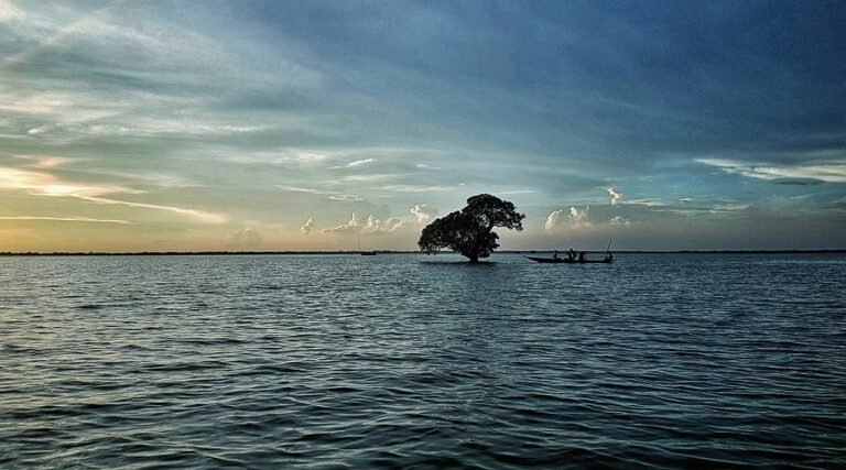 আমার হৃদয়ের বিসৃত স্মৃতিতে সিলেট ✍️  ইমরান আহমেদ চৌধুরী 